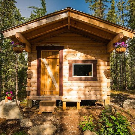 Blackburn Cabins - Mccarthy, Alaska Esterno foto