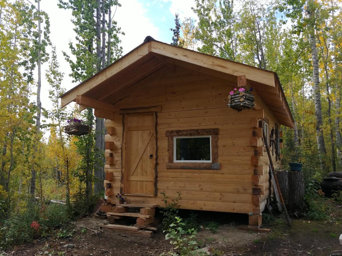 Blackburn Cabins - Mccarthy, Alaska Esterno foto