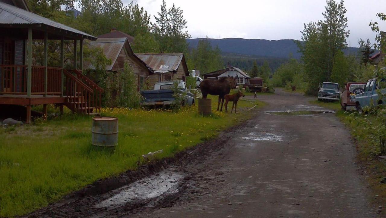 Blackburn Cabins - Mccarthy, Alaska Esterno foto