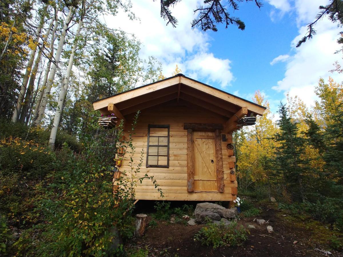 Blackburn Cabins - Mccarthy, Alaska Esterno foto