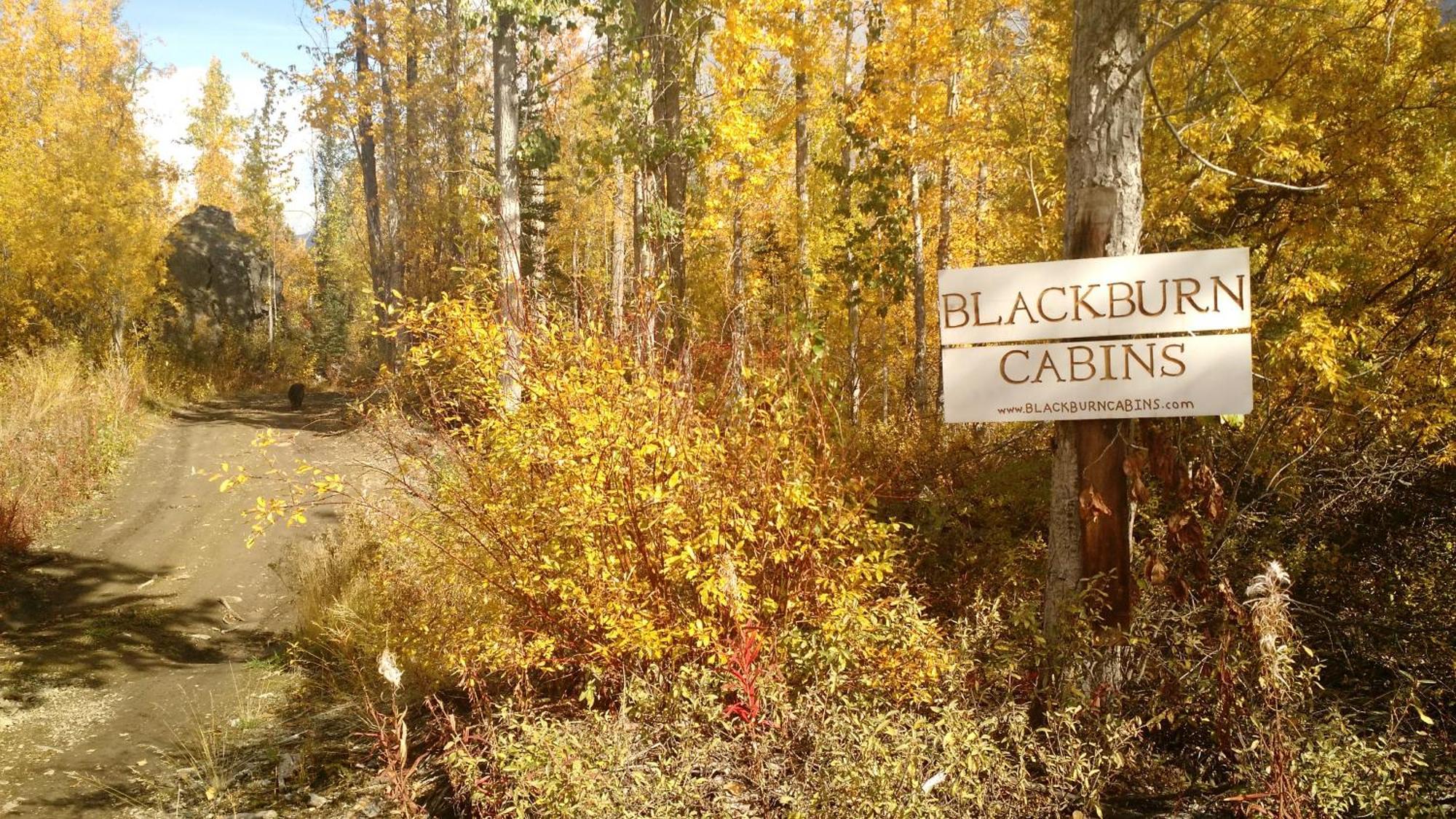 Blackburn Cabins - Mccarthy, Alaska Esterno foto