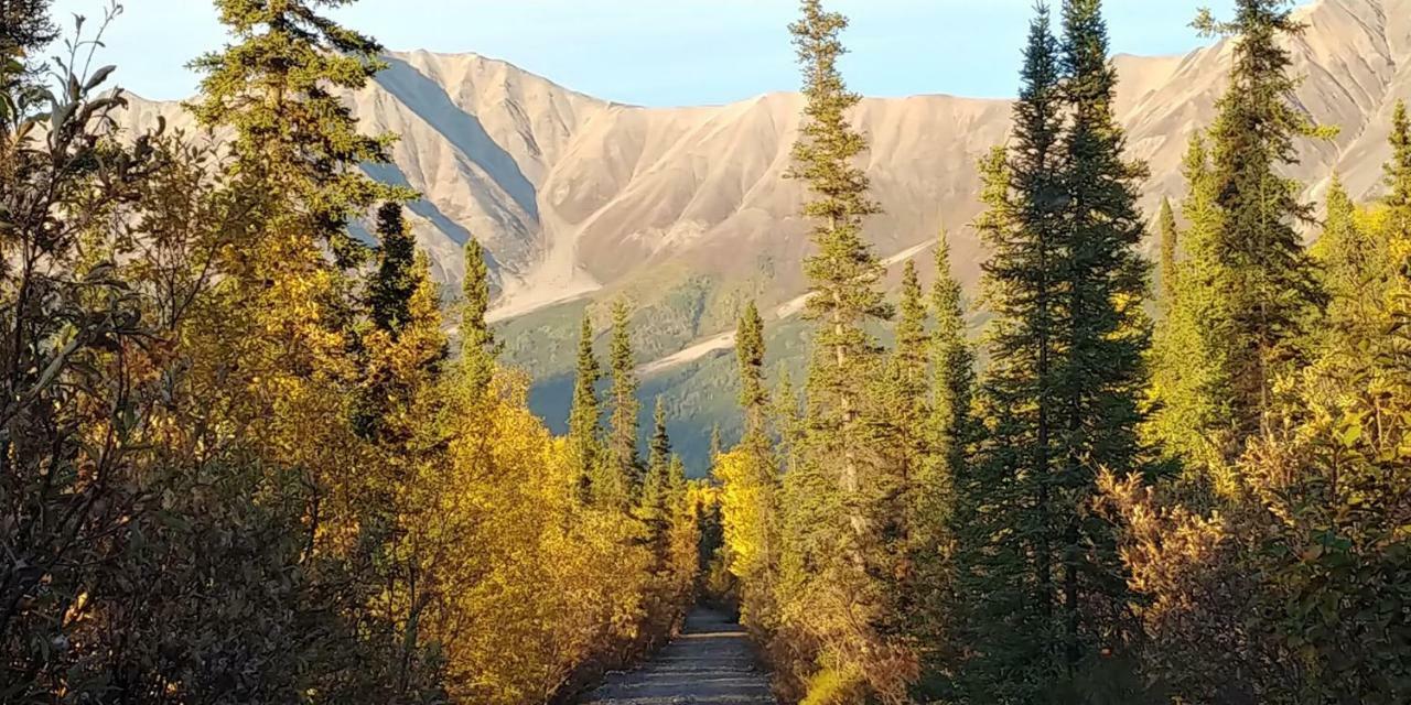 Blackburn Cabins - Mccarthy, Alaska Esterno foto